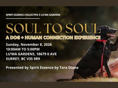 Soul to Soul: A Dog + Human Connection Experience